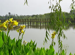 长春中医药类大学学院风景